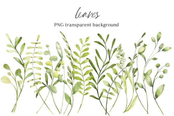 Download Leaves, Watercolor Clipart, PNG Files. - Art Collection